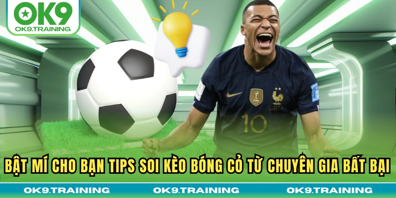 Bật Mí Cho Bạn Tips Soi Kèo Bóng Cỏ Từ Chuyên Gia Bất Bại